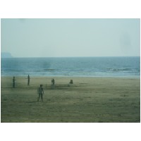 cricket on the beach.JPG