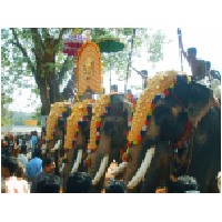 Festival,Thrissur.JPG