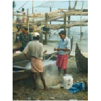 Fishermen,Kochi.JPG