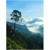 Kodaikanal.JPG