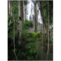 waterfall-600.jpg